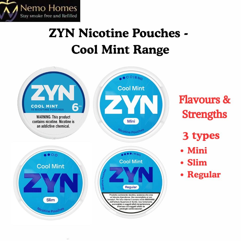 ZYN Nicotine Pouches – Cool Mint Flavour
